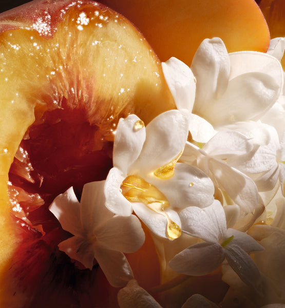 Charger l'image dans la galerie, JASMIN DES ANGES