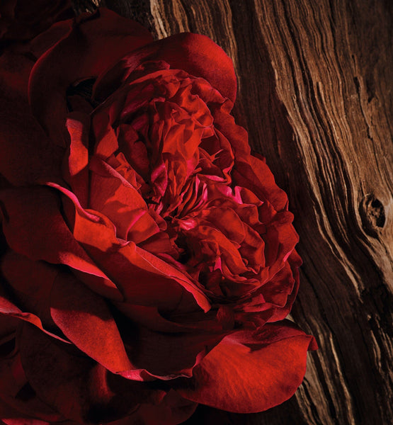 Charger l'image dans la galerie, OUD ISPAHAN