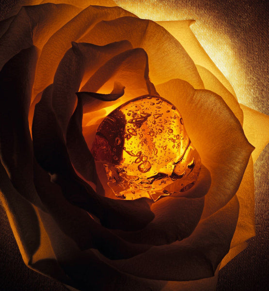 Charger l'image dans la galerie, AMBRE NUIT