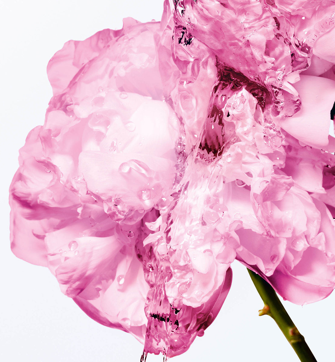 MISS DIOR LAIT CORPS RÉCONFIRTANT À LA CIRE DE ROSE | DIOR MA