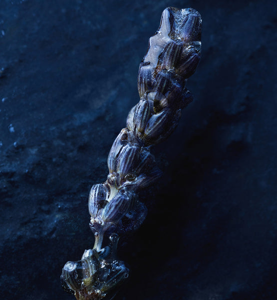 Charger l'image dans la galerie, SAUVAGE EAU FORTE