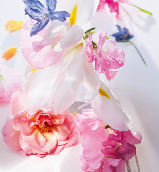 Charger l'image dans la galerie, MISS DIOR EAU DE PARFUM